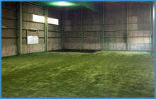 アストロターフ